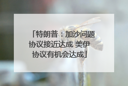 特朗普：加沙问题协议接近达成 美伊协议有机会达成