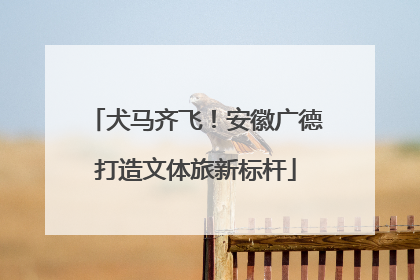 犬马齐飞！安徽广德打造文体旅新标杆
