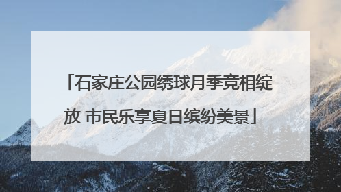 石家庄公园绣球月季竞相绽放 市民乐享夏日缤纷美景