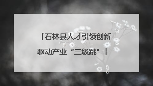 石林县人才引领创新驱动产业“三级跳”