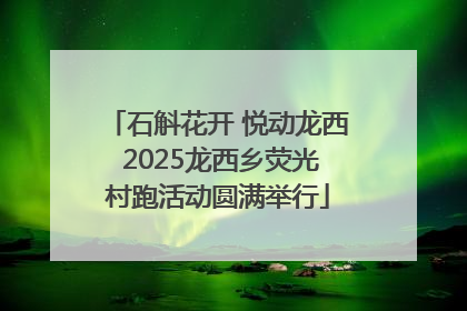 石斛花开 悦动龙西 2025龙西乡荧光村跑活动圆满举行