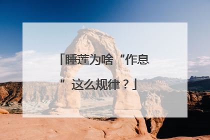 睡莲为啥“作息”这么规律？