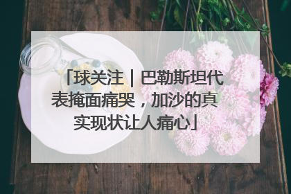 球关注｜巴勒斯坦代表掩面痛哭，加沙的真实现状让人痛心