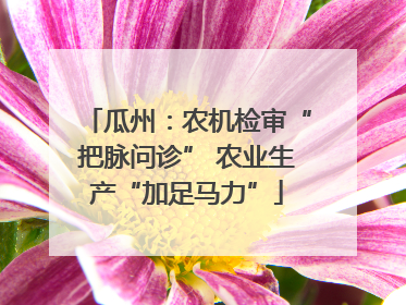 瓜州：农机检审“把脉问诊” 农业生产“加足马力”