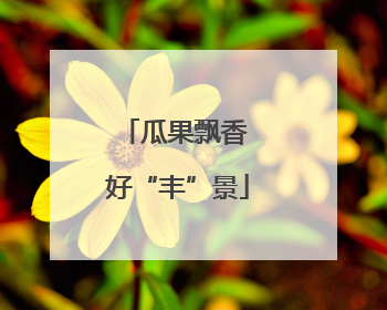 瓜果飘香 好“丰”景