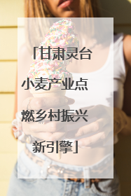 甘肃灵台小麦产业点燃乡村振兴新引擎