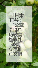 甘肃甘谷：“公益红娘”巧破高额彩礼 破规立范推广文明婚俗