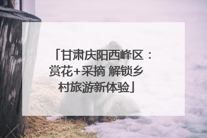 甘肃庆阳西峰区：赏花+采摘 解锁乡村旅游新体验