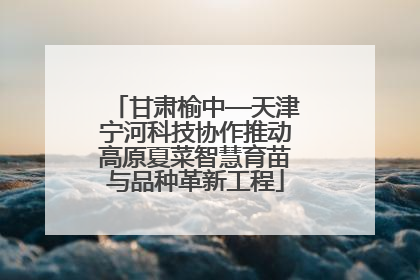 甘肃榆中—天津宁河科技协作推动高原夏菜智慧育苗与品种革新工程