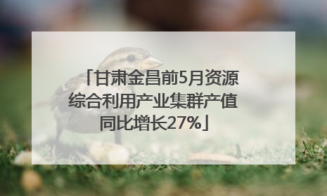 甘肃金昌前5月资源综合利用产业集群产值同比增长27%