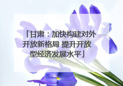 甘肃：加快构建对外开放新格局 提升开放型经济发展水平