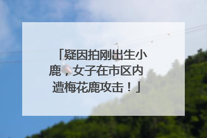 疑因拍刚出生小鹿，女子在市区内遭梅花鹿攻击！