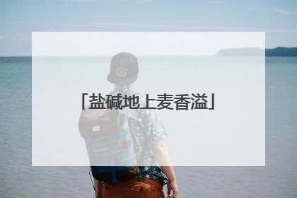 盐碱地上麦香溢