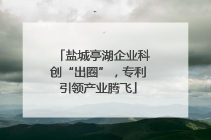 盐城亭湖企业科创“出圈”，专利引领产业腾飞