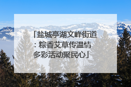 盐城亭湖文峰街道：粽香艾草传温情 多彩活动聚民心
