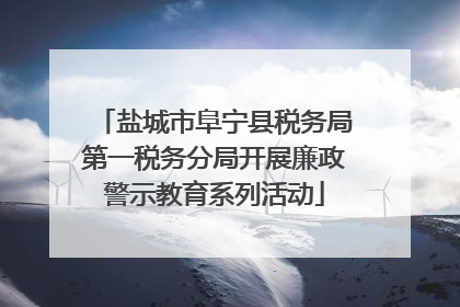 盐城市阜宁县税务局第一税务分局开展廉政警示教育系列活动