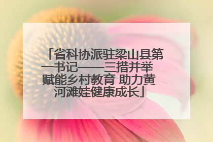 省科协派驻梁山县第一书记——三措并举 赋能乡村教育 助力黄河滩娃健康成长