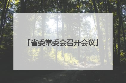 省委常委会召开会议