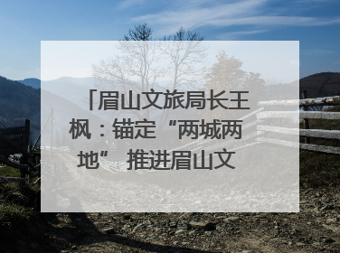 眉山文旅局长王枫：锚定“两城两地” 推进眉山文旅融合高质量发展｜文旅局长说