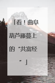 看！曲阜葫芦藤蔓上的“共富经”