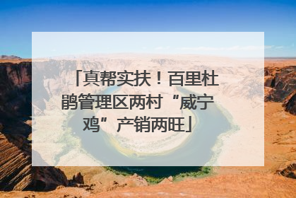 真帮实扶！百里杜鹃管理区两村“威宁鸡”产销两旺