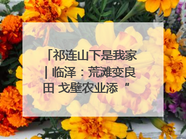 祁连山下是我家｜临泽：荒滩变良田 戈壁农业添“绿”生“金”