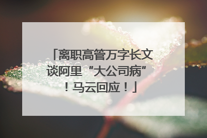 离职高管万字长文谈阿里“大公司病”！马云回应！