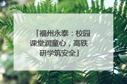 福州永泰：校园课堂润童心，高铁研学筑安全