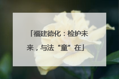 福建德化：检护未来，与法“童”在