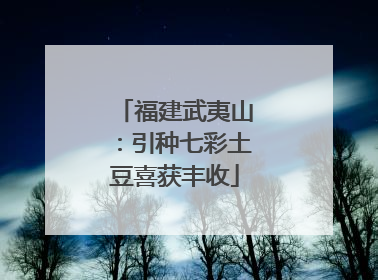 福建武夷山：引种七彩土豆喜获丰收