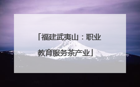 福建武夷山：职业教育服务茶产业