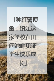 种红薯摸鱼，镇江这家学校在田间池畔见证学生快乐成长