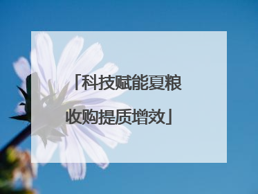 科技赋能夏粮收购提质增效