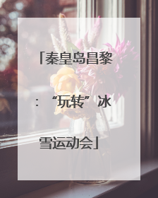秦皇岛昌黎：“玩转”冰雪运动会