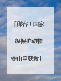 稀客！国家一级保护动物穿山甲获救