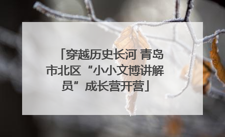 穿越历史长河 青岛市北区“小小文博讲解员”成长营开营