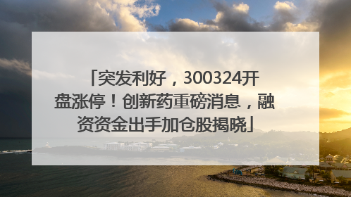 突发利好，300324开盘涨停！创新药重磅消息，融资资金出手加仓股揭晓