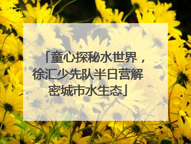 童心探秘水世界，徐汇少先队半日营解密城市水生态