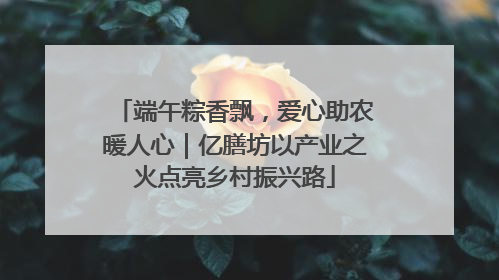 端午粽香飘，爱心助农暖人心｜亿膳坊以产业之火点亮乡村振兴路