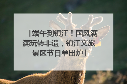 端午到镇江！国风满满玩转非遗，镇江文旅景区节目单出炉