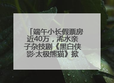 端午小长假票房近40万，浠水亲子杂技剧《黑白侠影·太极熊猫》掀起观演热潮