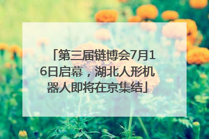 第三届链博会7月16日启幕，湖北人形机器人即将在京集结