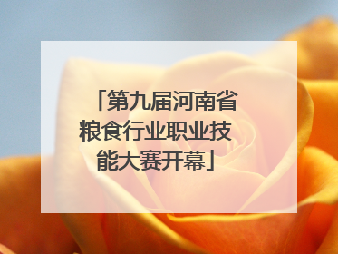 第九届河南省粮食行业职业技能大赛开幕
