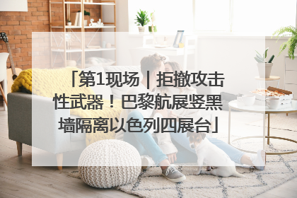 第1现场｜拒撤攻击性武器！巴黎航展竖黑墙隔离以色列四展台