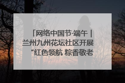 网络中国节·端午｜兰州九州花坛社区开展“红色领航 粽香敬老”端午主题活动