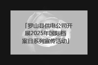罗山县供电公司开展2025年国际档案日系列宣传活动