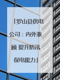 罗山县供电公司：内外兼顾 提升防汛保电能力
