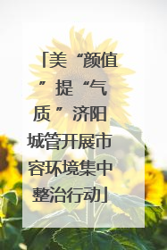 美“颜值 ”提“气质 ”济阳城管开展市容环境集中整治行动