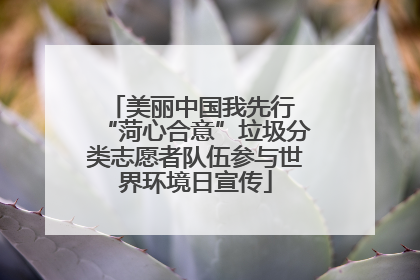 美丽中国我先行 “菏心合意”垃圾分类志愿者队伍参与世界环境日宣传