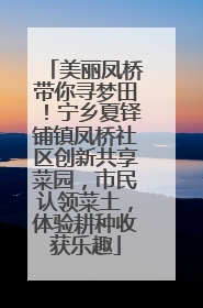 美丽凤桥带你寻梦田！宁乡夏铎铺镇凤桥社区创新共享菜园，市民认领菜土，体验耕种收获乐趣